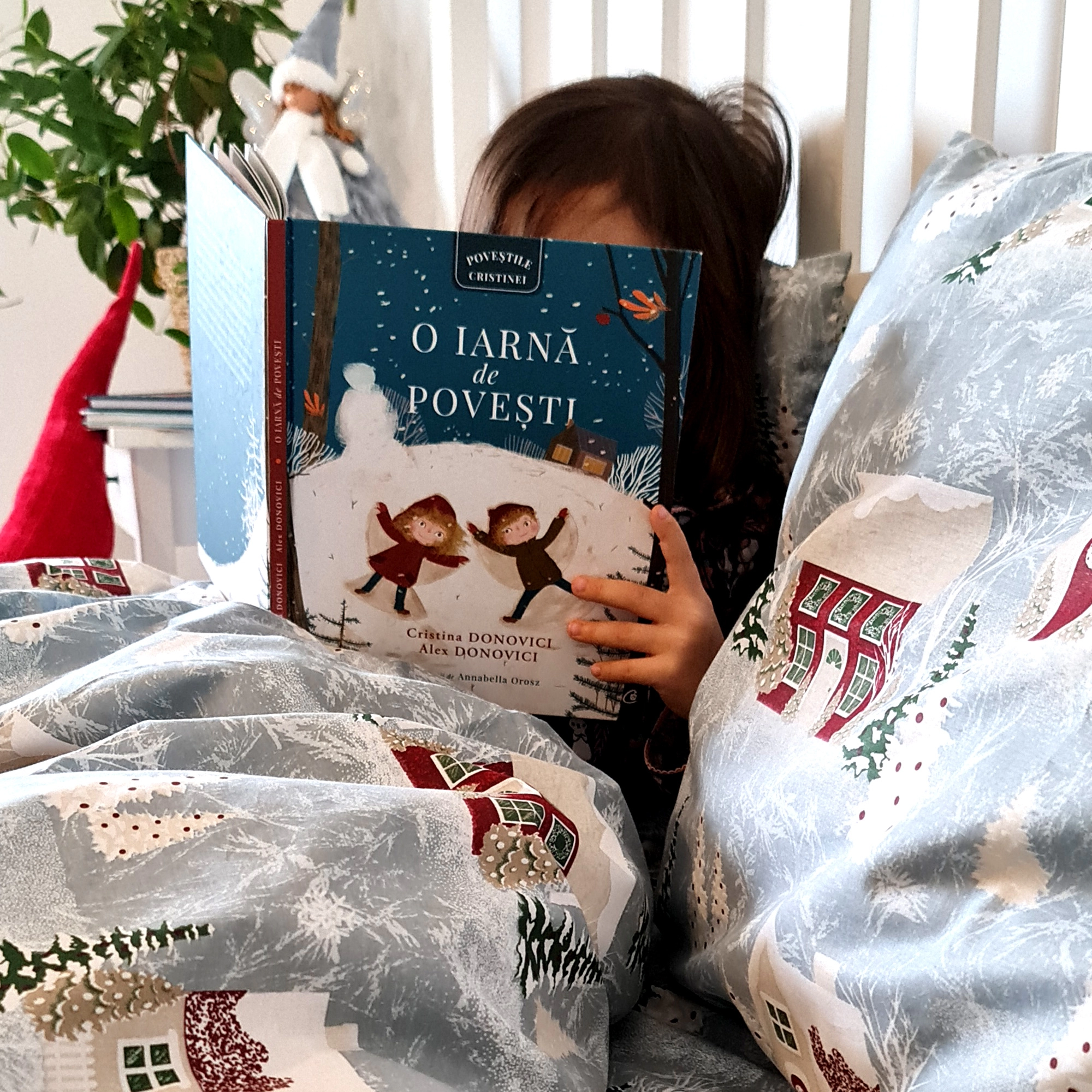 Lenjerie de pat Poveste De Iarna (180/200)