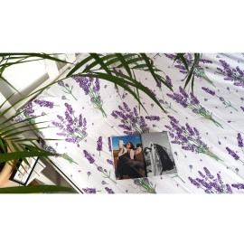 Lenjerie de pat Provence Story (160/200)