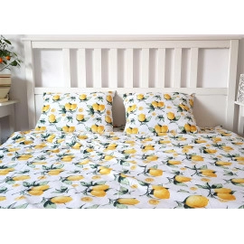 Lenjerie de pat Sunny Lemons (160/200)
