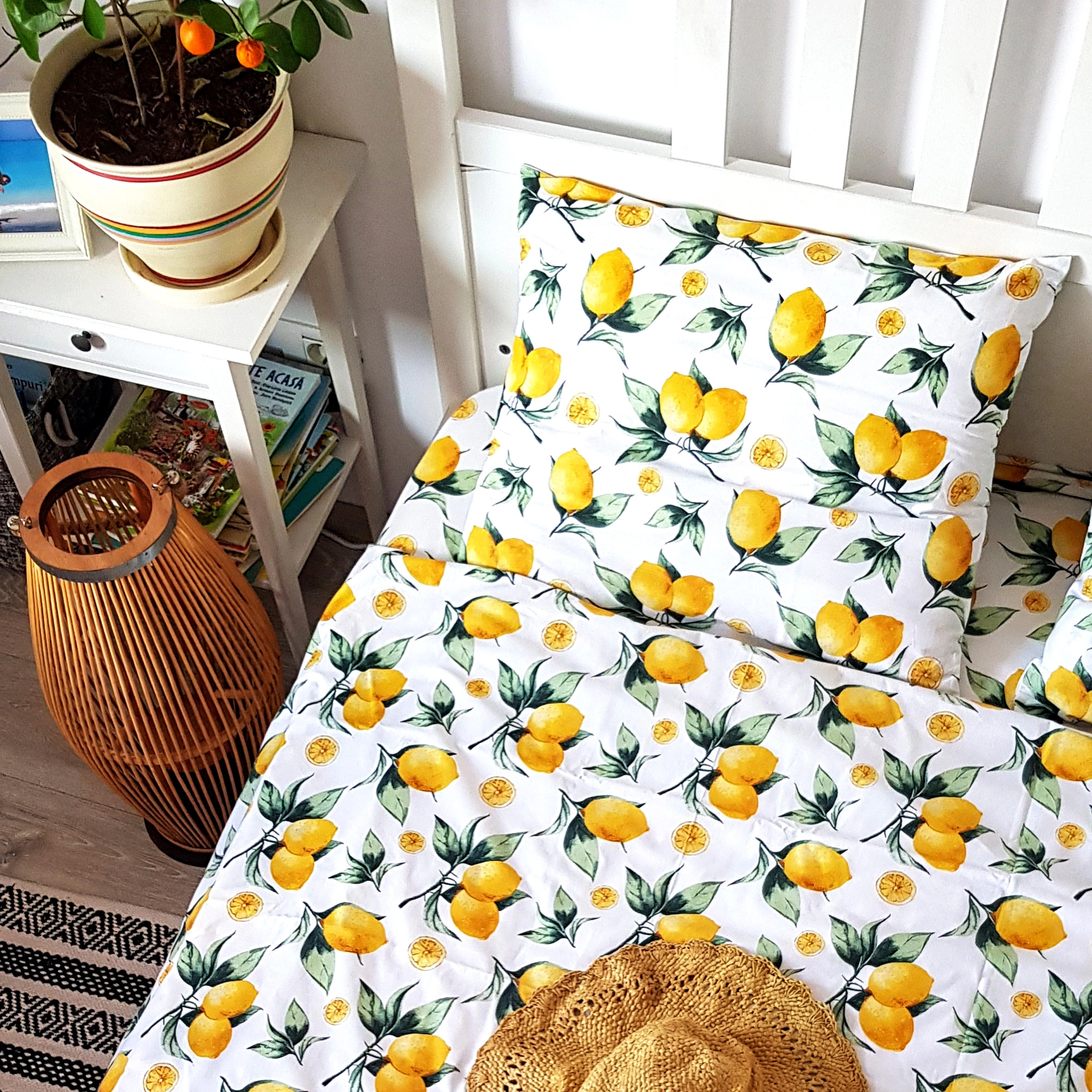 Lenjerie de pat Sunny Lemons (160/200)