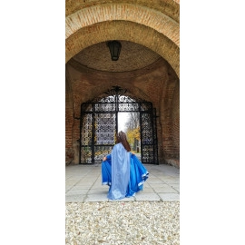 Rochie printesa Frozen Dream